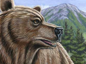 Bear and clown