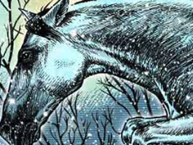 Tondo horse